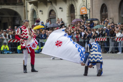 DSC_4049-copia