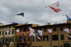 MG_79362500