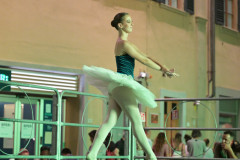 PERDONO_372