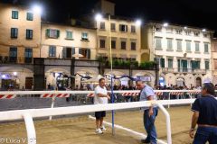 PALIO_C-11