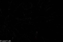 PALIO_C-382