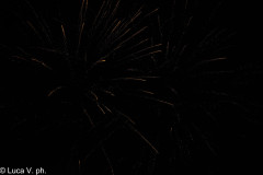 PALIO_C-384