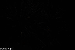 PALIO_C-385