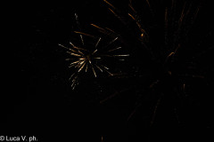 PALIO_C-388