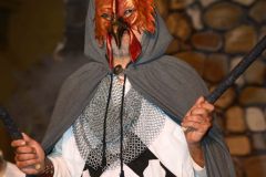 PSR_2023_SFI-318