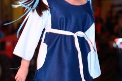 PSR_2023_SFI-322