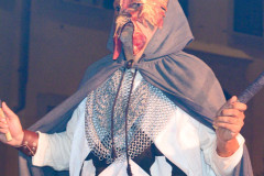 PSR_2023_SFI-347