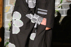 PSR_2023_SFI-425