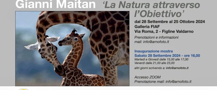 La natura attraverso l’obiettivo