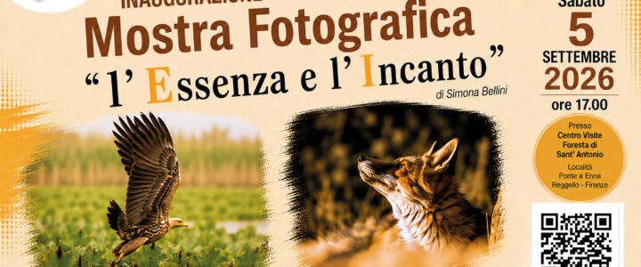 “ L’Essenza e L’Incanto ” Mostra Fotografica di Simona Bellini